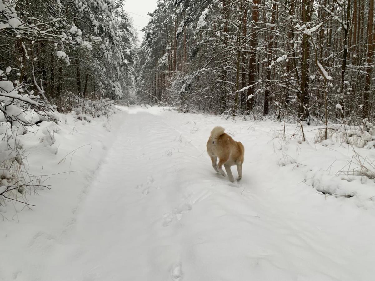 Agroturystyka Gesiniec Stare Osieczno Luaran gambar