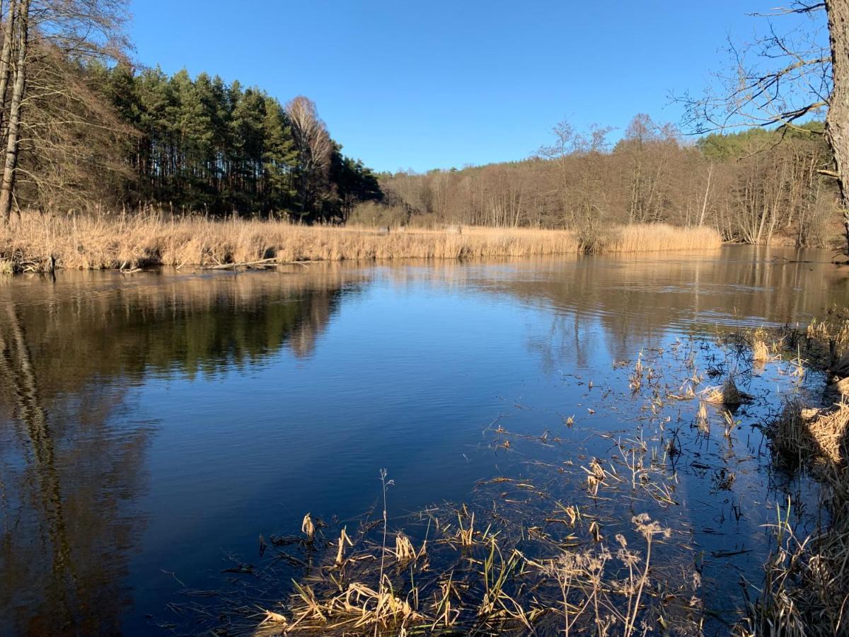 Agroturystyka Gesiniec Stare Osieczno Luaran gambar
