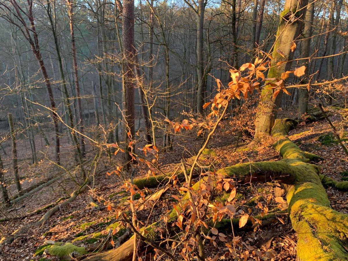 Agroturystyka Gesiniec Stare Osieczno Luaran gambar