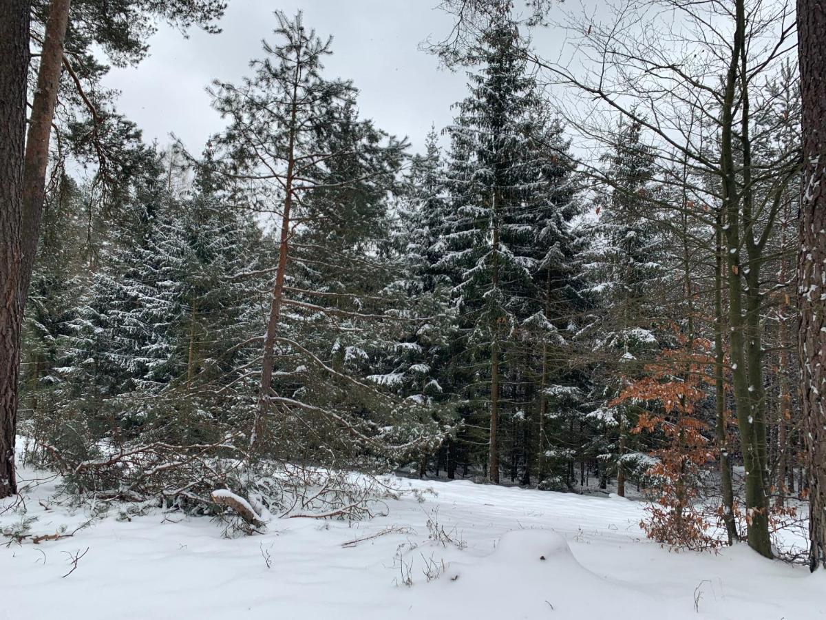 Agroturystyka Gesiniec Stare Osieczno Luaran gambar