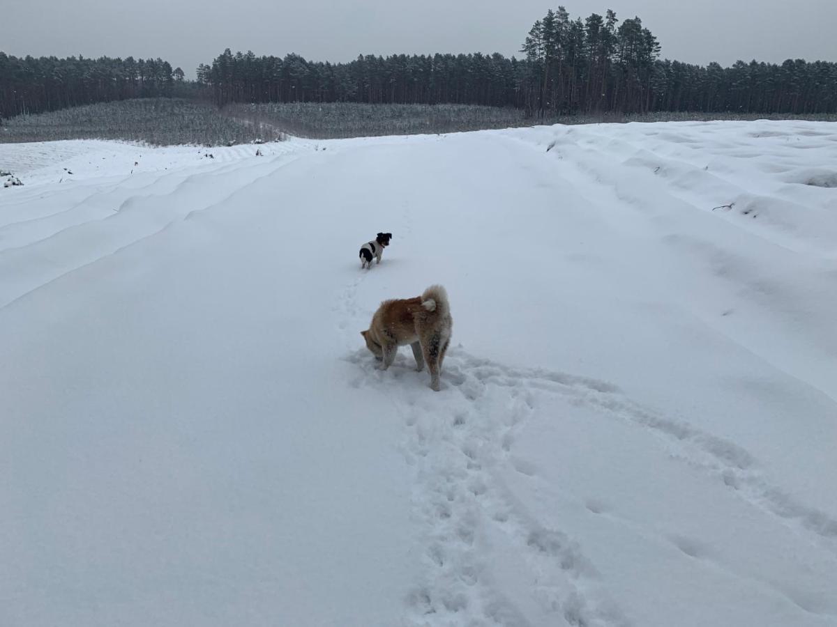 Agroturystyka Gesiniec Stare Osieczno Luaran gambar