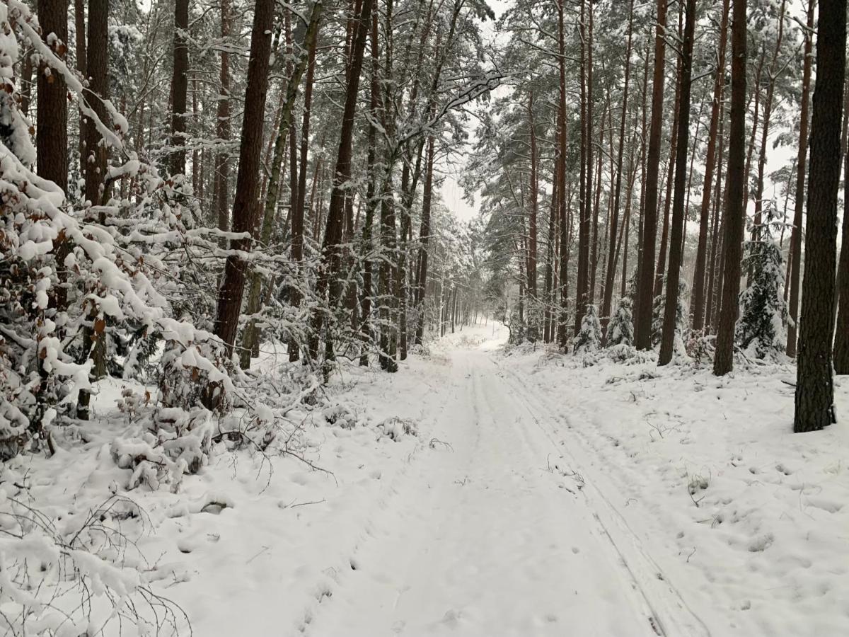 Agroturystyka Gesiniec Stare Osieczno Luaran gambar