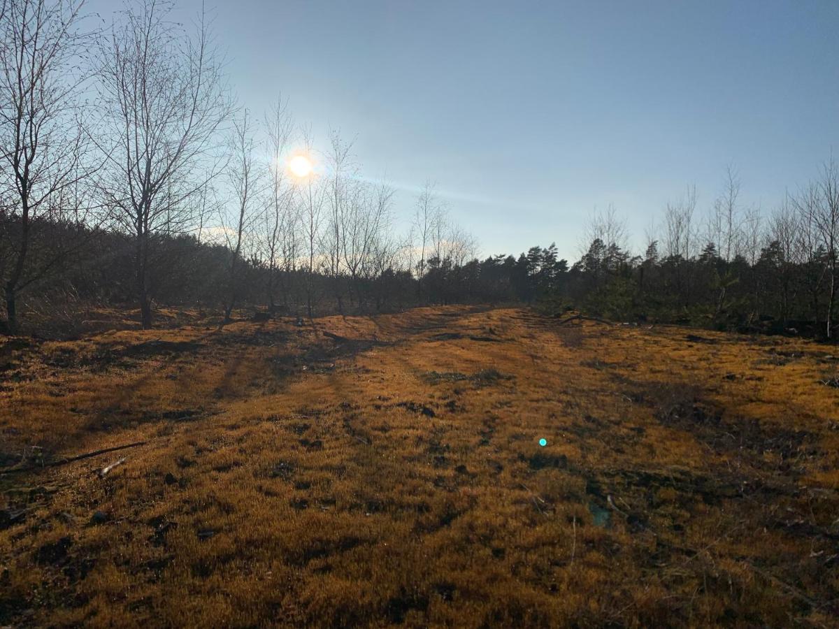 Agroturystyka Gesiniec Stare Osieczno Luaran gambar