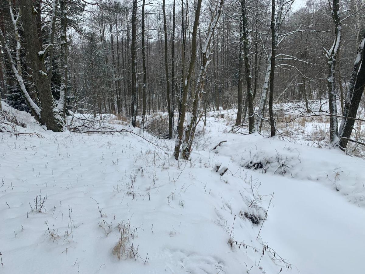 Agroturystyka Gesiniec Stare Osieczno Luaran gambar