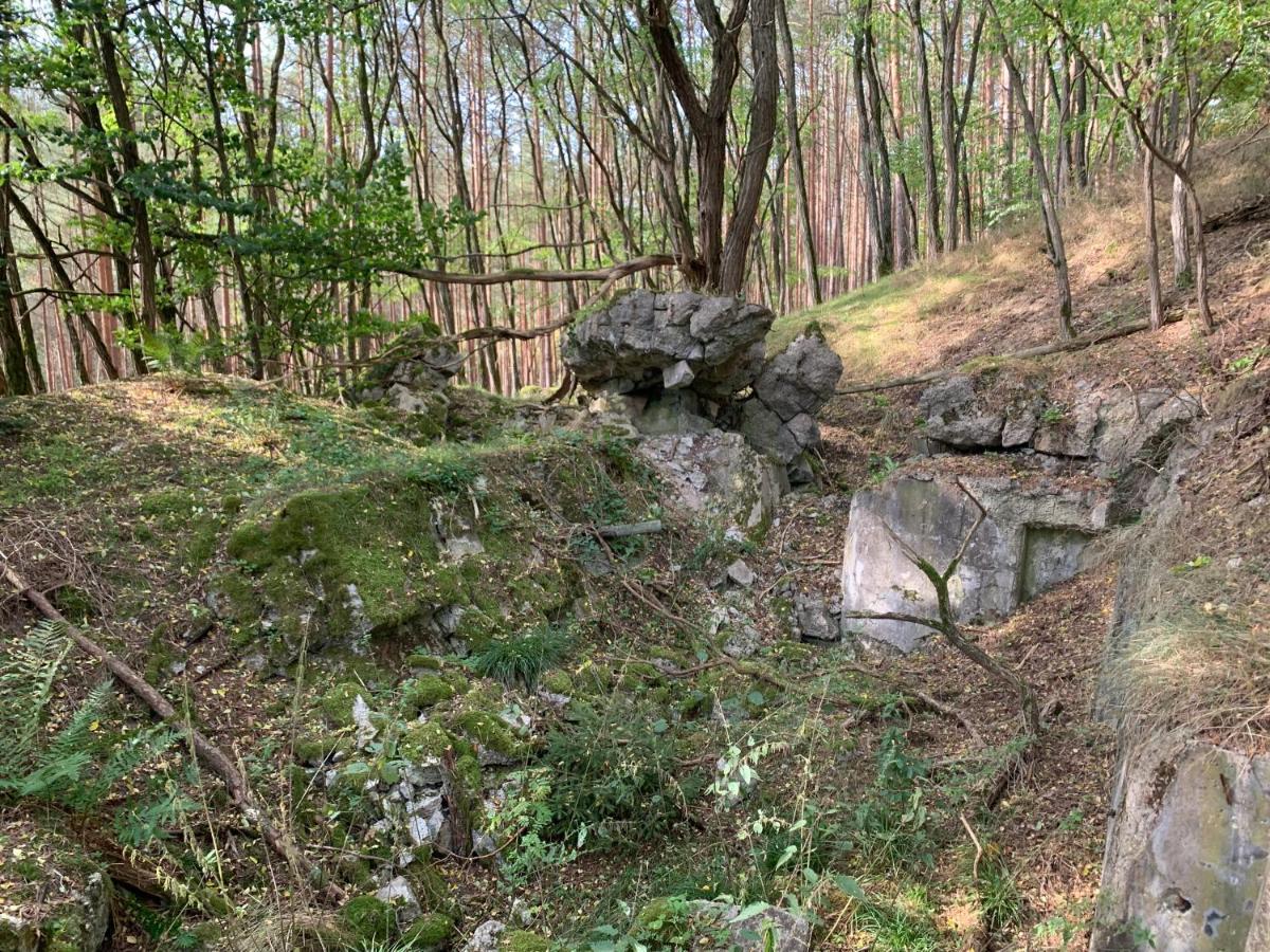 Agroturystyka Gesiniec Stare Osieczno Luaran gambar