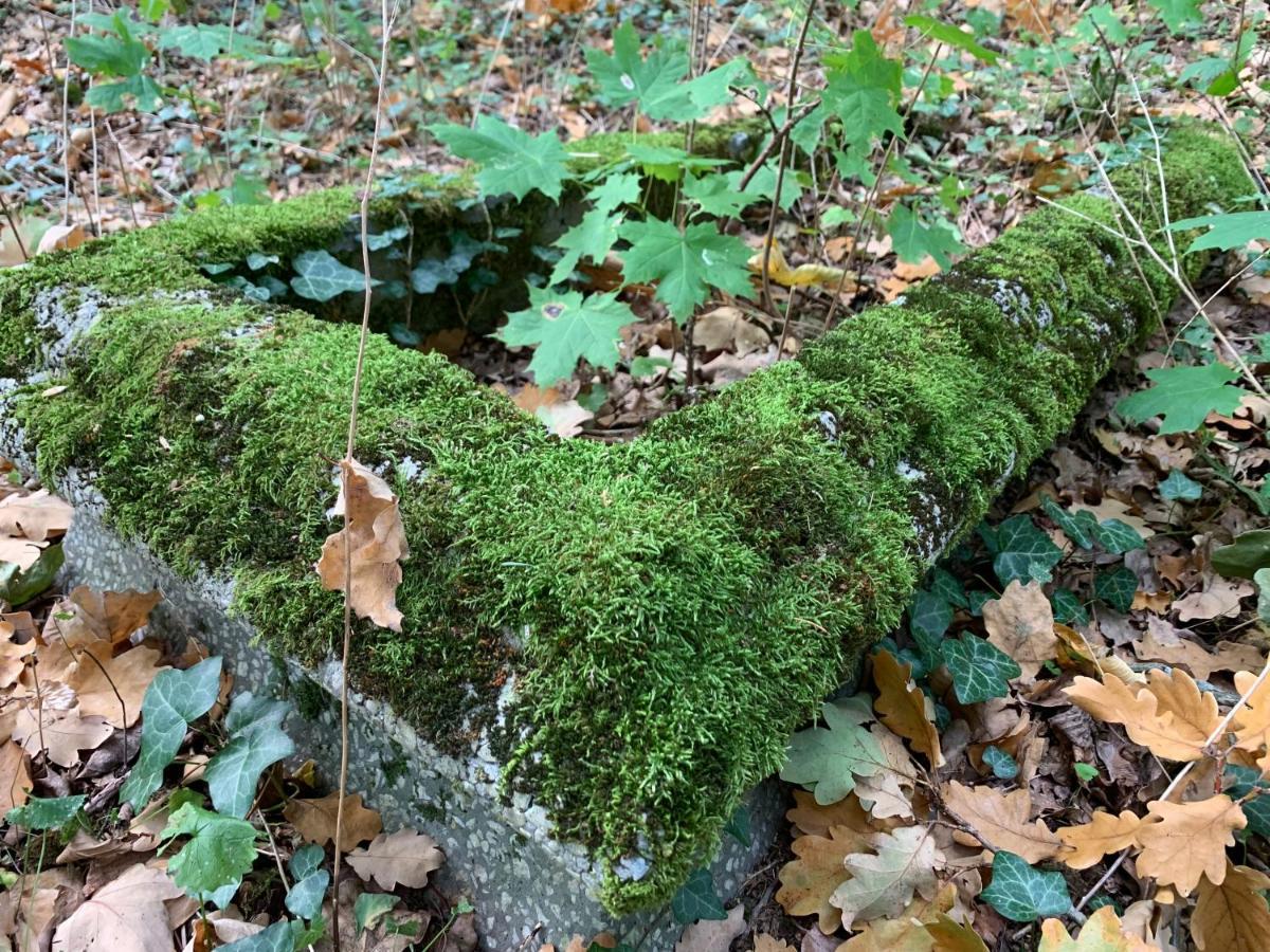 Agroturystyka Gesiniec Stare Osieczno Luaran gambar