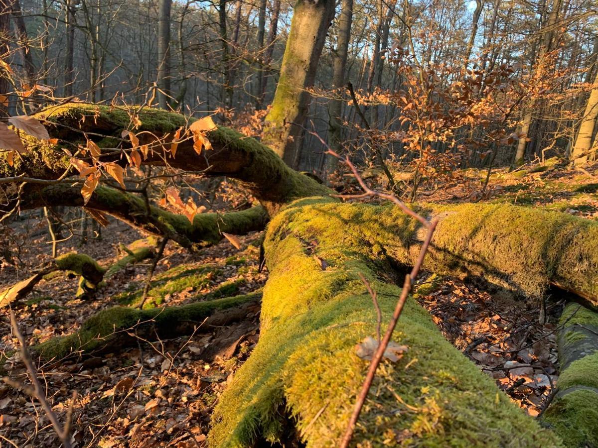 Agroturystyka Gesiniec Stare Osieczno Luaran gambar