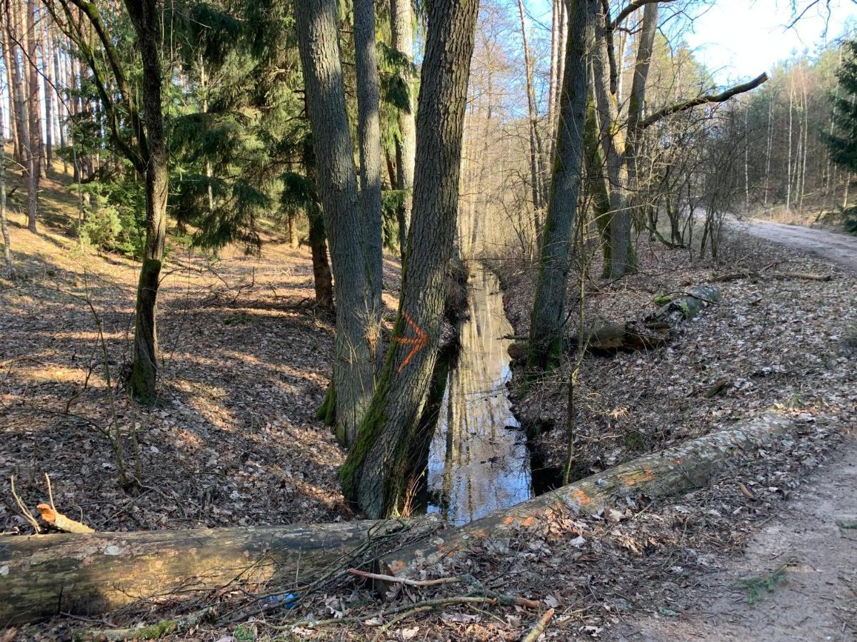 Agroturystyka Gesiniec Stare Osieczno Luaran gambar