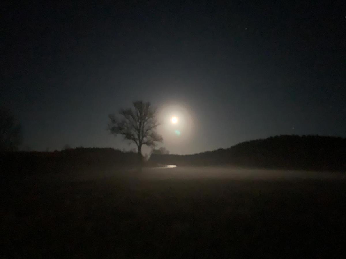 Agroturystyka Gesiniec Stare Osieczno Luaran gambar