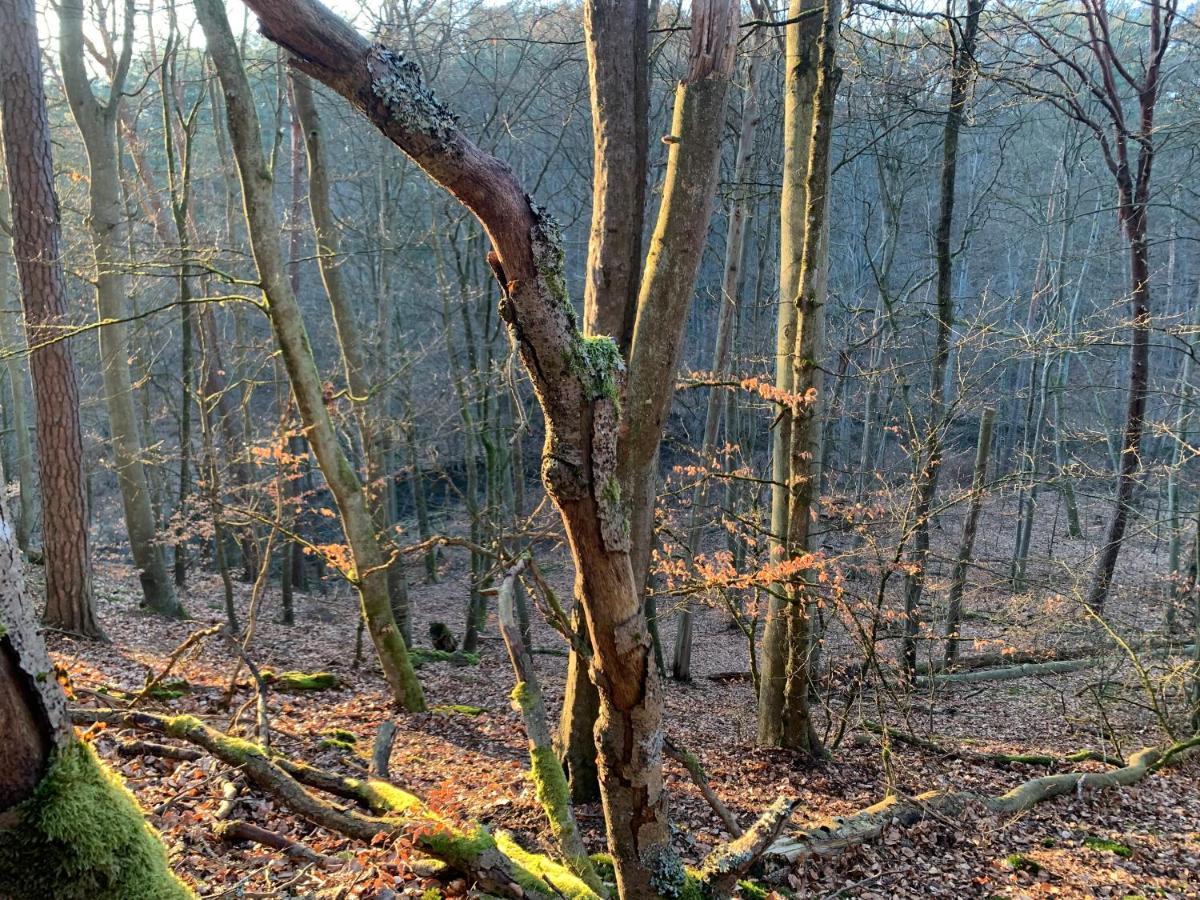 Agroturystyka Gesiniec Stare Osieczno Luaran gambar